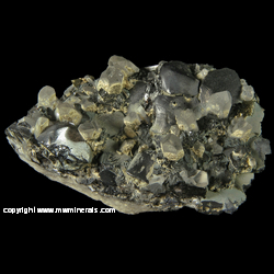 Mineral Specimen: Curved Galena Crystals with Growth Lines, Quartz with Included Galena, Sphalerite, Chlorite, Pyrite from Madan, Bulgaria Mineral Specimen: Curved Galena Crystals with Growth Lines, Quartz with Included Galena, Sphalerite, Chlorite, Pyrite from Madan, Bulgaria