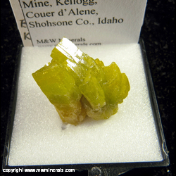 Mineral Specimen: Pyromorphite from Jersey Vein, Bunker Hill Mine, Kellogg, Couer d'Alene, Shohshone Co., Idaho Mineral Specimen: Pyromorphite from Jersey Vein, Bunker Hill Mine, Kellogg, Couer d'Alene, Shohshone Co., Idaho