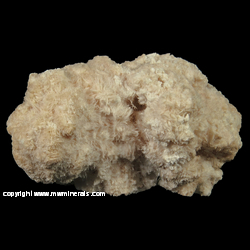 Mineral Specimen: Pickeringite variety: Kasparite (Cobalt Rich), Pickeringite from Dubnik, Cervenica, Presov Co., Presov Region, Slovakia Mineral Specimen: Pickeringite variety: Kasparite (Cobalt Rich), Pickeringite from Dubnik, Cervenica, Presov Co., Presov Region, Slovakia
