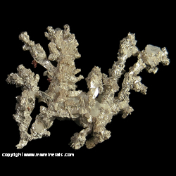 Mineral Specimen: Silver Crystals with Minor Copper from Kearsarge #4, Kearsarge, Houghton Co., Michigan Mineral Specimen: Silver Crystals with Minor Copper from Kearsarge #4, Kearsarge, Houghton Co., Michigan