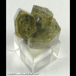 Mineral Specimen: Fluorapatite from Panasquiera Mines, Panasquiera, Portugal Mineral Specimen: Fluorapatite from Panasquiera Mines, Panasquiera, Portugal