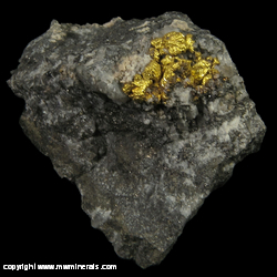 Minerals Specimen: Gold,Hessite, Tennantite, Tetrahedrite, Pyrite from Cash Mine, Gold Hill, Boulder Co., Colorado Minerals Specimen: Gold,Hessite, Tennantite, Tetrahedrite, Pyrite from Cash Mine, Gold Hill, Boulder Co., Colorado