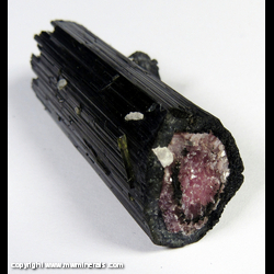 Mineral Specimen: Tourmaline (Elbaite) with Inner Ring Pseudomorphed to Lepdiolite from Pederneiras mine, Sao Jose da Safira, Minas Gerais, Brazil Mineral Specimen: Tourmaline (Elbaite) with Inner Ring Pseudomorphed to Lepdiolite from Pederneiras mine, Sao Jose da Safira, Minas Gerais, Brazil