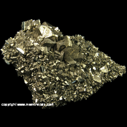 Mineral Specimen: Pyrite and Dolomite on Fossul Coral Matrix from Rensselaer Quarry, Pleasant Ridge, Jasper Co., Indiana Mineral Specimen: Pyrite and Dolomite on Fossul Coral Matrix from Rensselaer Quarry, Pleasant Ridge, Jasper Co., Indiana