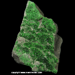 Mineral Specimen: Uvarovite Garnet Crystals on Massive Chromite from Saranovskii Mine, Saranovskaya Village, Gornozavodskii area, Permskaya Oblast', Middle Urals, Russia Mineral Specimen: Uvarovite Garnet Crystals on Massive Chromite from Saranovskii Mine, Saranovskaya Village, Gornozavodskii area, Permskaya Oblast', Middle Urals, Russia
