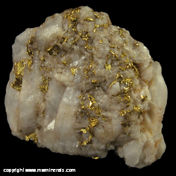 Mineral Specimen: Gold in Quartz from Dolgellau Gold Belt, Gwynedd, Wales Mineral Specimen: Gold in Quartz from Dolgellau Gold Belt, Gwynedd, Wales