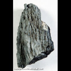Mineral Specimen: Tourmaline - Dravite - Schorl Series, Sacheelite, Quartz from Santa Cruz, Sonora, Mexico Mineral Specimen: Tourmaline - Dravite - Schorl Series, Sacheelite, Quartz from Santa Cruz, Sonora, Mexico