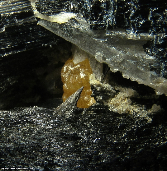 Fluorescent Mineral Specimen: Tourmaline - Dravite - Schorl Series, Sacheelite, Quartz from Santa Cruz, Sonora, Mexico Fluorescent Mineral Specimen: Tourmaline - Dravite - Schorl Series, Sacheelite, Quartz from Santa Cruz, Sonora, Mexico