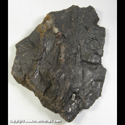 Mineral Specimen: Graphite with Quartz Veining from Ohio Mines, Imperial Heights, Baraga Co., Michigan Mineral Specimen: Graphite with Quartz Veining from Ohio Mines, Imperial Heights, Baraga Co., Michigan