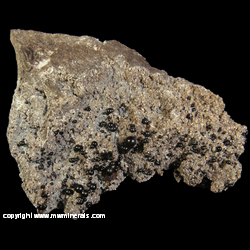 Mineral Specimen: Bitumen and micro Pyrite Crystals on Dolomite Crystals from Alpena Co., Michigan (likely Paxton Quarry) Mineral Specimen: Bitumen and micro Pyrite Crystals on Dolomite Crystals from Alpena Co., Michigan (likely Paxton Quarry)