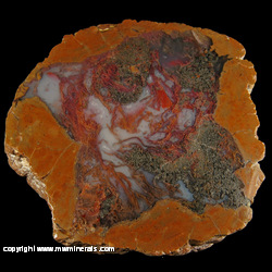 Mineral Specimen: Priday Red and Green Plume Thunderegg from Richardson Ranch (Priday Ranch), Madras, Jefferson Co., Oregon Mineral Specimen: Priday Red and Green Plume Thunderegg from Richardson Ranch (Priday Ranch), Madras, Jefferson Co., Oregon