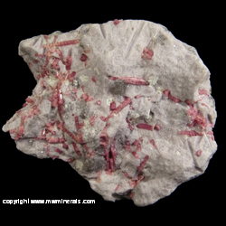 Mineral Specimen: Rubellite Tourmaline in Lepidolite from Stewart Mine, Tourmaline Queen Mountain, Pala, San Diego Co., California Mineral Specimen: Rubellite Tourmaline in Lepidolite from Stewart Mine, Tourmaline Queen Mountain, Pala, San Diego Co., California
