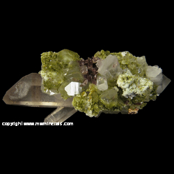 Mineral Specimen: Epidote, Quartz, Axinite-(Fe), Calcite from New Melones Dam, Calaveras Co., California Mineral Specimen: Epidote, Quartz, Axinite-(Fe), Calcite from New Melones Dam, Calaveras Co., California