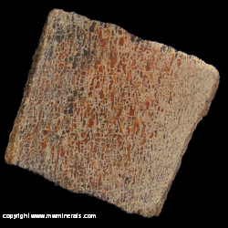Mineral Specimen: Dinosaur Bone, Lapidary Quality from Jurassic, Morrisson Formation, Utah Mineral Specimen: Dinosaur Bone, Lapidary Quality from Jurassic, Morrisson Formation, Utah