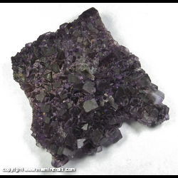 Mineral Specimen: Fluorite with Included Bitumen, Micro Double Terminated Quartz from Hill Leadford Mine, Cave-In-Rock, Hardin Co., Illinois Mineral Specimen: Fluorite with Included Bitumen, Micro Double Terminated Quartz from Hill Leadford Mine, Cave-In-Rock, Hardin Co., Illinois