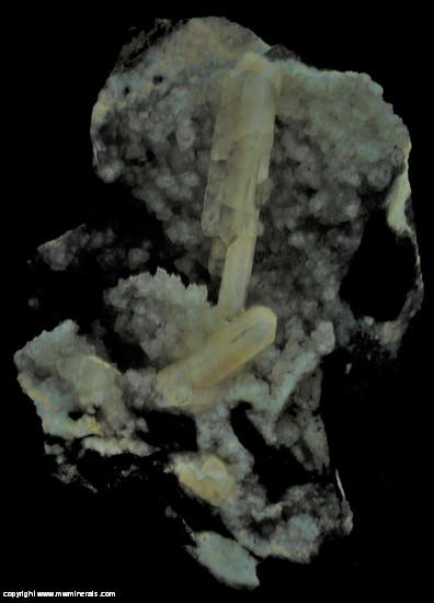 Fluorescent Mineral Specimen: Barite on Calcite (both fluorescent) from 21st Street, Colorado Springs, El Paso Co., Colorado Fluorescent Mineral Specimen: Barite on Calcite (both fluorescent) from 21st Street, Colorado Springs, El Paso Co., Colorado