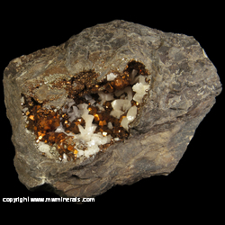 Mineral Specimen: Diploid Pyrite Crystals, Dolomite from Duff Quarry, Huntsville, Logan, County, Ohio Mineral Specimen: Diploid Pyrite Crystals, Dolomite from Duff Quarry, Huntsville, Logan, County, Ohio