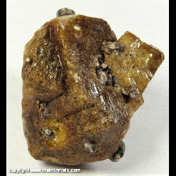 Mineral Specimen: Vesuvianite variety: Idocrase, Andradite Garnet from Sierra de la Cruz (Lake Jaco), Mun. de Sierra Mojada, Coahuila, Mexico Mineral Specimen: Vesuvianite variety: Idocrase, Andradite Garnet from Sierra de la Cruz (Lake Jaco), Mun. de Sierra Mojada, Coahuila, Mexico