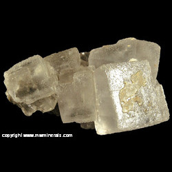 Mineral Specimen: Halite Crystals from American Salt & Coal Company Mine, Lyons, Rice Co., Kansas Mineral Specimen: Halite Crystals from American Salt & Coal Company Mine, Lyons, Rice Co., Kansas