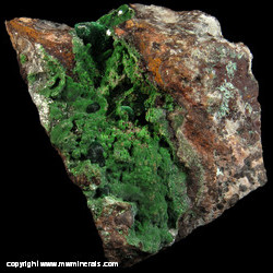 Minerals Specimen: Malachite, Conichalcite, Calcite from Mapimi, Durango, Mexico