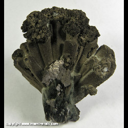 Mineral Specimen: Ilvaite, Arsenopyrite, Hedenbergite, Tremolite from Huanggang Mine, Inner Mongolia, China