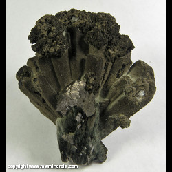 Minerals Specimen: Ilvaite, Arsenopyrite, Hedenbergite, Tremolite from Huanggang Mine, Inner Mongolia, China Minerals Specimen: Ilvaite, Arsenopyrite, Hedenbergite, Tremolite from Huanggang Mine, Inner Mongolia, China