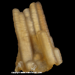 Mineral Specimen: Bamboo Agate - Stalactic Chalcedony from Jawa Tengah, Java, Indonesia Mineral Specimen: Bamboo Agate - Stalactic Chalcedony from Jawa Tengah, Java, Indonesia