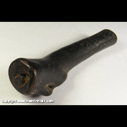 Mineral Specimen: Black Coral from Hawaii Mineral Specimen: Black Coral from Hawaii