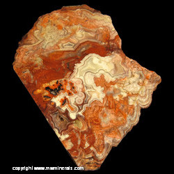 Mineral Specimen: Crazy Lace Agate from Sierra Santa Lucia, Ejido Benito Juarez, Mun. de Ahumada, Chihuahua, Mexico Mineral Specimen: Crazy Lace Agate from Sierra Santa Lucia, Ejido Benito Juarez, Mun. de Ahumada, Chihuahua, Mexico