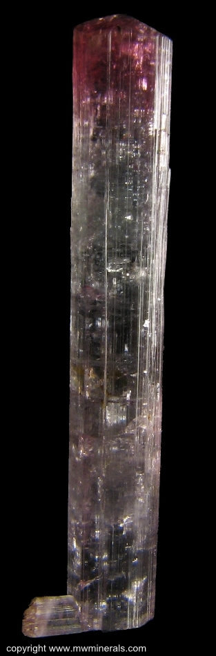 Mineral Specimen: Red and Blue Tourmaline from Pederneira claim, Sao Jose da Safira, Doce valley, Minas Gerais, Brazil