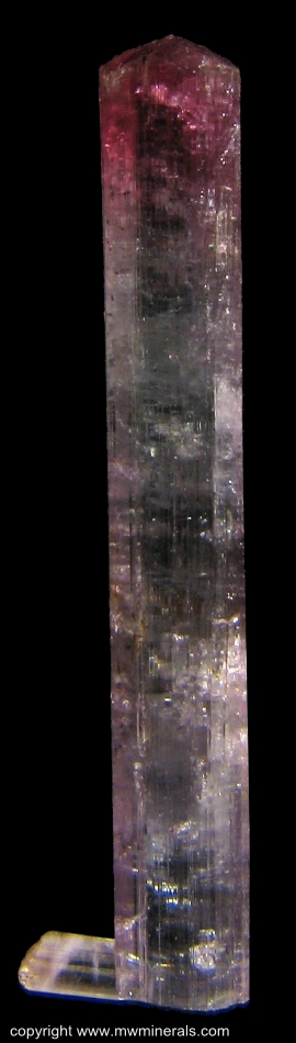 Mineral Specimen: Red and Blue Tourmaline from Pederneira claim, Sao Jose da Safira, Doce valley, Minas Gerais, Brazil