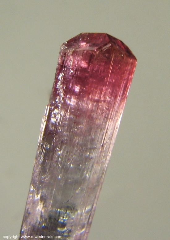 Mineral Specimen: Red and Blue Tourmaline from Pederneira claim, Sao Jose da Safira, Doce valley, Minas Gerais, Brazil