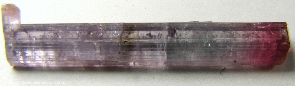 Mineral Specimen: Red and Blue Tourmaline from Pederneira claim, Sao Jose da Safira, Doce valley, Minas Gerais, Brazil