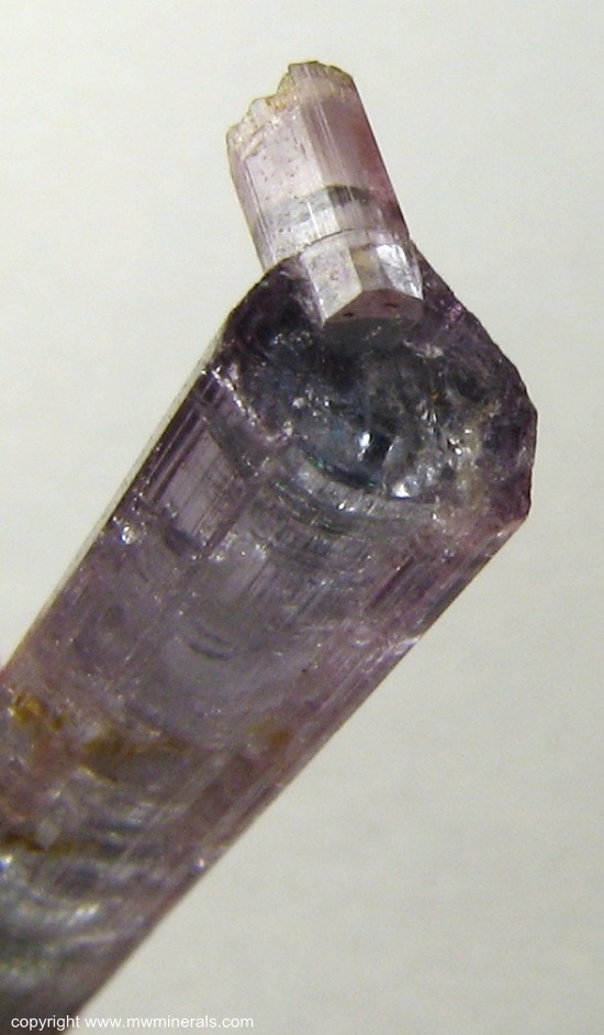 Mineral Specimen: Red and Blue Tourmaline from Pederneira claim, Sao Jose da Safira, Doce valley, Minas Gerais, Brazil