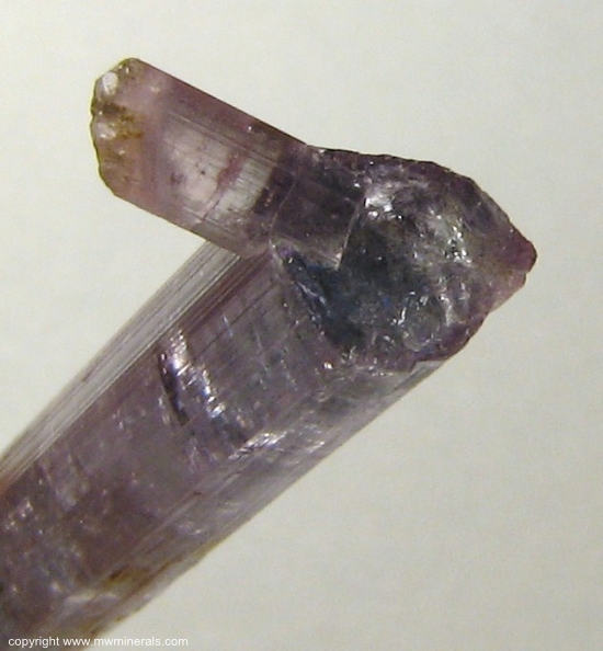 Mineral Specimen: Red and Blue Tourmaline from Pederneira claim, Sao Jose da Safira, Doce valley, Minas Gerais, Brazil