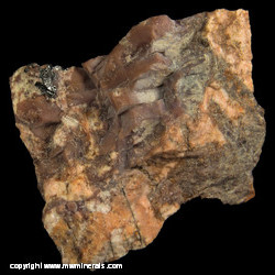 Mineral Specimen: Sussexite with minor Willemite and Franklinite from Sterling Mine, Sterling Hill, Ogdensburg, Franklin Mining Dist., Sussex Co., New Jersey Mineral Specimen: Sussexite with minor Willemite and Franklinite from Sterling Mine, Sterling Hill, Ogdensburg, Franklin Mining Dist., Sussex Co., New Jersey