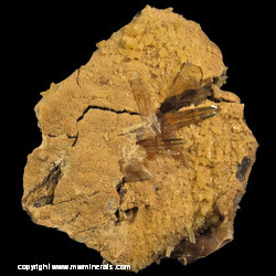 Minerals Specimen: Barite on Calcite (both fluorescent) from Elk Creek, Meade Co., South Dakota