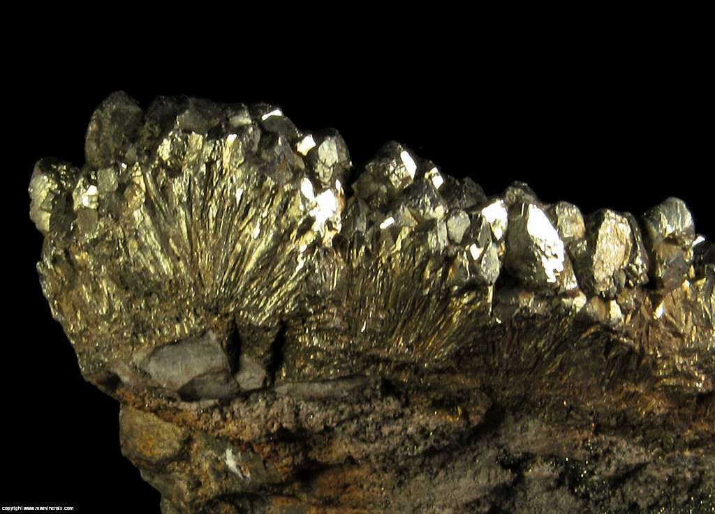 Mineral Specimen 6403 Marcasite from Blackstone Mine, Shullsburg, Upper