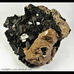 Mineral Specimen: Hornblende, Microcline from Gibson Road, Tory Hill, Haliburton Co., Ontario, Canada Mineral Specimen: Hornblende, Microcline from Gibson Road, Tory Hill, Haliburton Co., Ontario, Canada