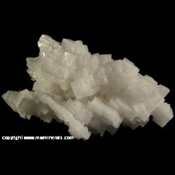 Mineral Specimen: Halite Crystals from Oklahoma Mineral Specimen: Halite Crystals from Oklahoma