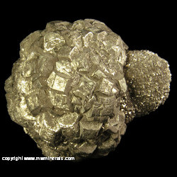 Mineral Specimen: Pyritized Marine Burrow from Ross Co., Ohio Mineral Specimen: Pyritized Marine Burrow from Ross Co., Ohio