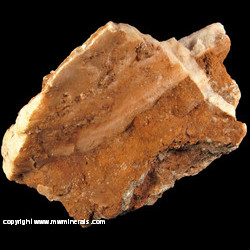 Mineral Specimen: Gypsum from Alabaster Mine, Owl Canyon, near Livermore, Larimer Co., Colorado Mineral Specimen: Gypsum from Alabaster Mine, Owl Canyon, near Livermore, Larimer Co., Colorado