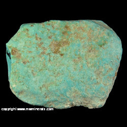 Mineral Specimen: Turqouise from Kingman area, Mohave Co., Arizona Mineral Specimen: Turqouise from Kingman area, Mohave Co., Arizona