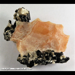 Mineral Specimen: Augite, Scapolite, Calcite from Yates mine, Otter Lake, Pontiac RCM, Outaouais, Quebec, Canada Mineral Specimen: Augite, Scapolite, Calcite from Yates mine, Otter Lake, Pontiac RCM, Outaouais, Quebec, Canada