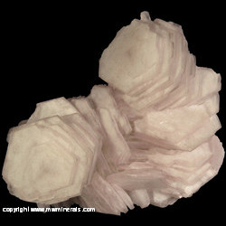 Mineral Specimen: Manganoan Poker Chip Calcite from Manaoshan Mine, Dongpo ore field, Suxian District, Chenzhou, Hunan, China Mineral Specimen: Manganoan Poker Chip Calcite from Manaoshan Mine, Dongpo ore field, Suxian District, Chenzhou, Hunan, China