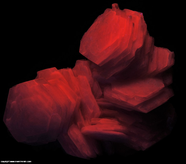 Fluorescent Mineral Specimen: Manganoan Poker Chip Calcite from Manaoshan Mine, Dongpo ore field, Suxian District, Chenzhou, Hunan, China Fluorescent Mineral Specimen: Manganoan Poker Chip Calcite from Manaoshan Mine, Dongpo ore field, Suxian District, Chenzhou, Hunan, China