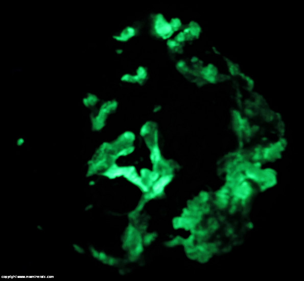 Fluorescent Mineral Specimen: Schorl Tourmaline, Albite, Hyaline Opal from Erongo Mountain, Erongo Region, Namibia