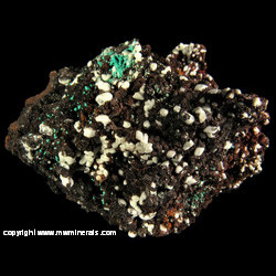 Minerals Specimen: Smithsointe variety: Rice Crystals, Rosasite from Silver Hill Mine group, Silver Hill Dist., Waterman Mts, Pima Co., Arizona Minerals Specimen: Smithsointe variety: Rice Crystals, Rosasite from Silver Hill Mine group, Silver Hill Dist., Waterman Mts, Pima Co., Arizona