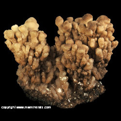 Mineral Specimen: Calcite from Mexico Mineral Specimen: Calcite from Mexico