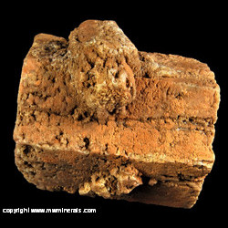 Minerals Specimen: Quartz Pseudomorph after Aragonite from Rancho Coyamito, Sierra del Gallego, Ahumada Municipality, Chihuahua, Mexico Minerals Specimen: Quartz Pseudomorph after Aragonite from Rancho Coyamito, Sierra del Gallego, Ahumada Municipality, Chihuahua, Mexico